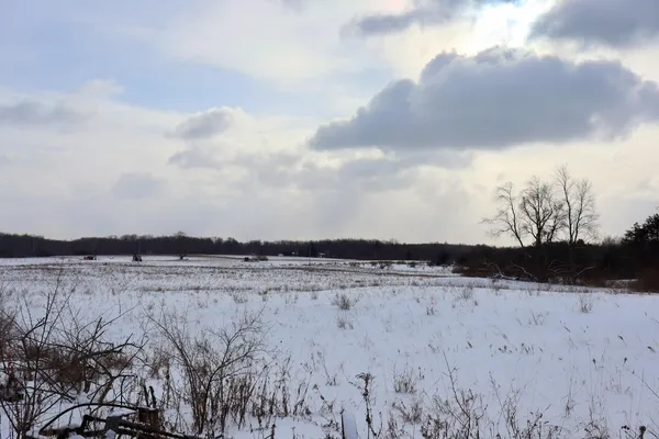 $415,000 | 6182 Hamilton Road, Harrison, MI 48625