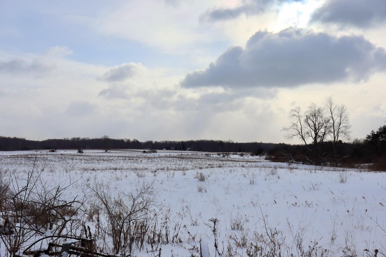 6182 Hamilton Road Harrison, MI 48625 - Photo 48 of 56 IMG_1702