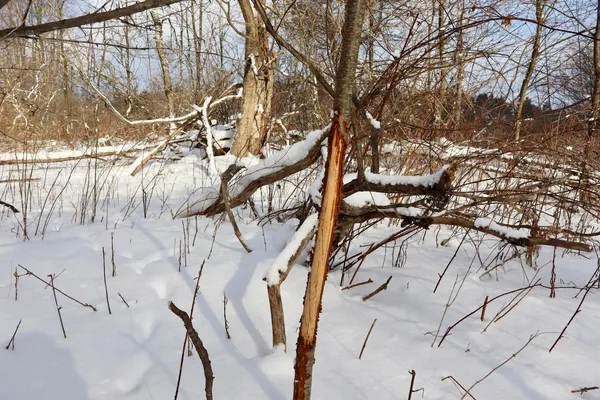 $415,000 | 6182 Hamilton Road, Harrison, MI 48625