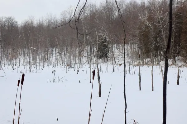 $415,000 | 6182 Hamilton Road, Harrison, MI 48625