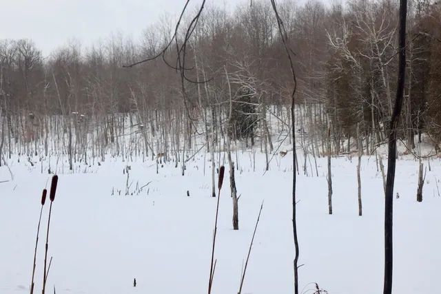 $415,000 | 6182 Hamilton Road, Harrison, MI 48625