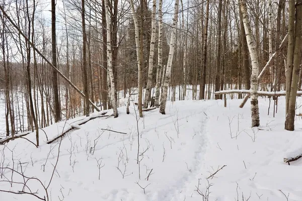 $415,000 | 6182 Hamilton Road, Harrison, MI 48625