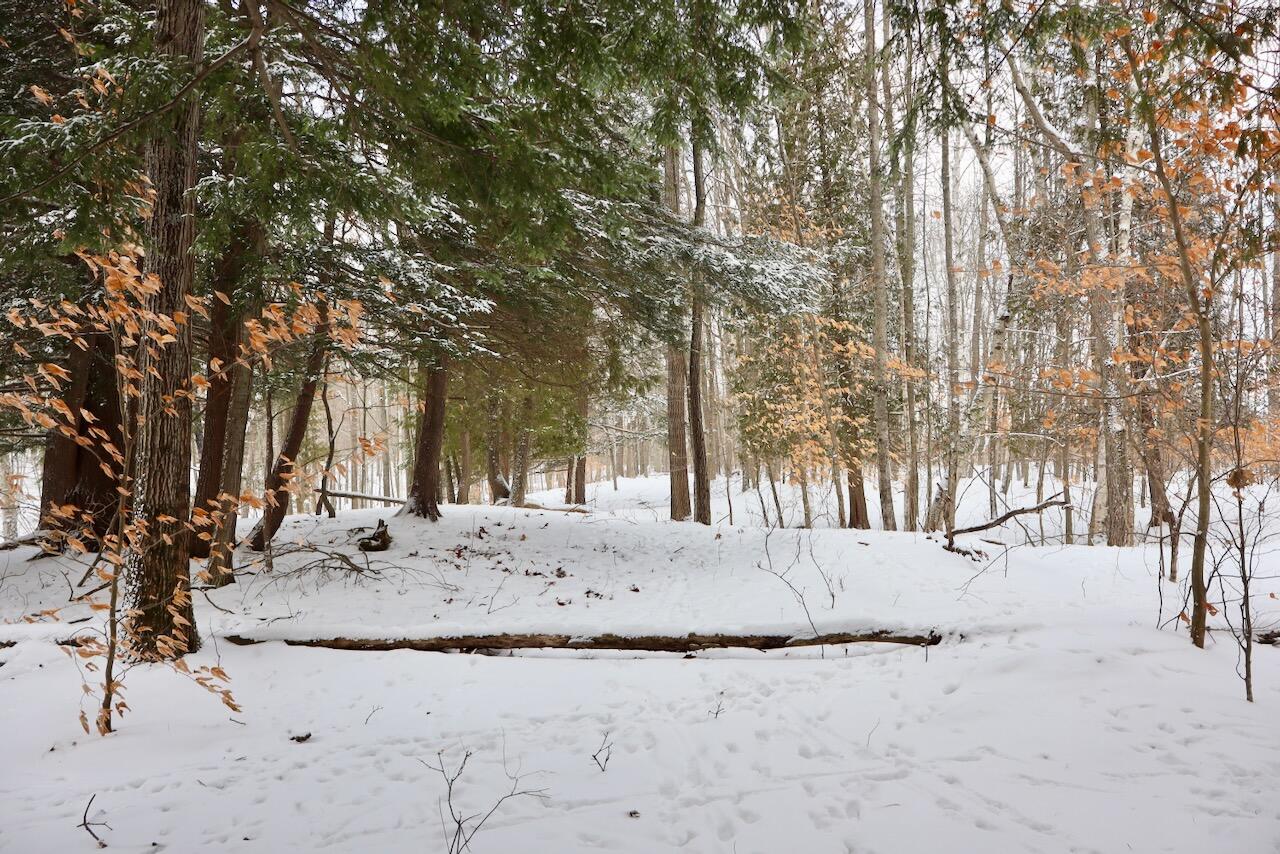 6182 Hamilton Road Harrison, MI 48625 - Photo 8 of 56 007