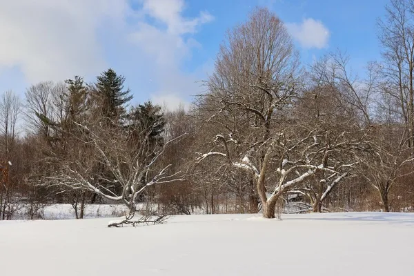 $415,000 | 6182 Hamilton Road, Harrison, MI 48625