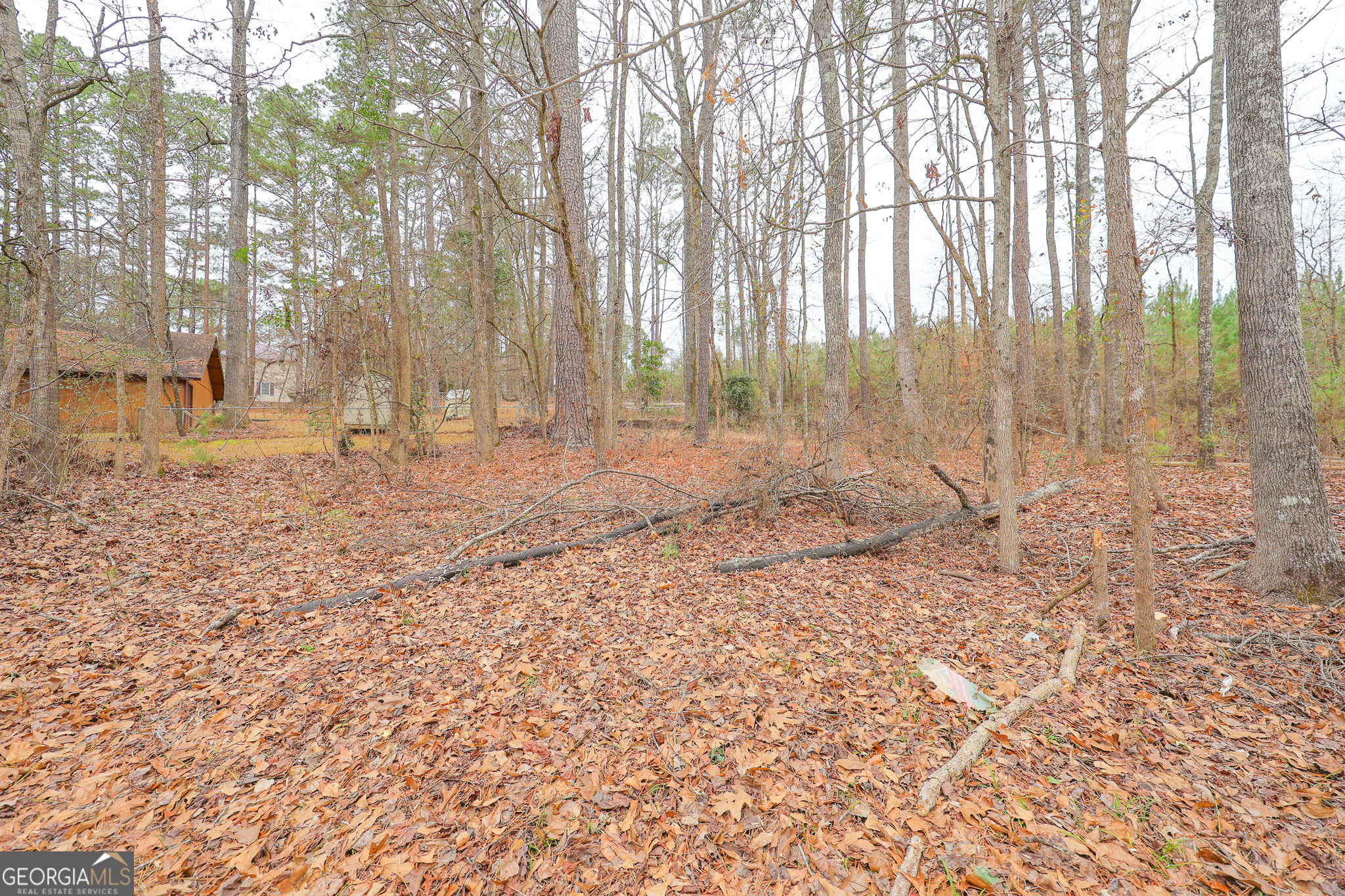 207 North View Pointe Drive LaGrange, GA 30241 - Photo 61 of 74 a view of backyard with green space