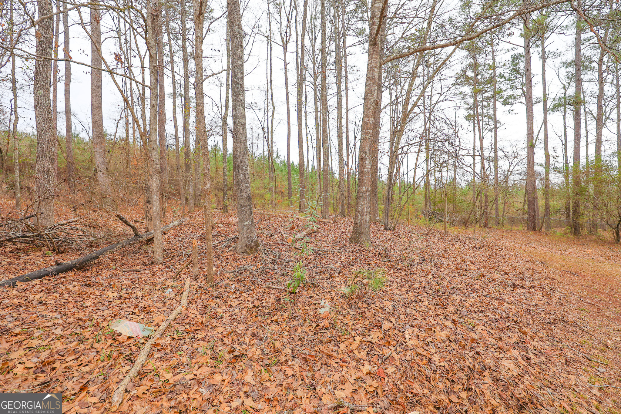 207 North View Pointe Drive LaGrange, GA 30241 - Photo 62 of 74