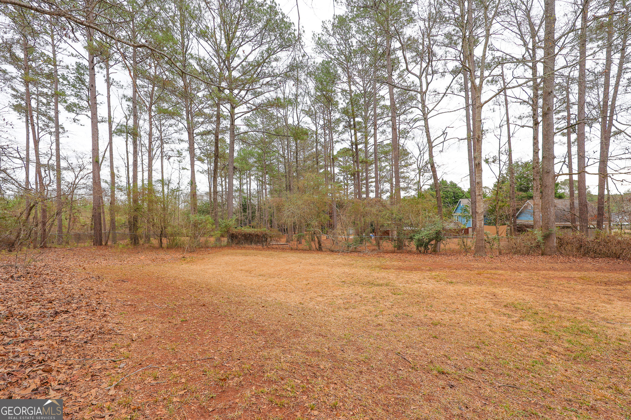 207 North View Pointe Drive LaGrange, GA 30241 - Photo 63 of 74 a backyard of a house with trees