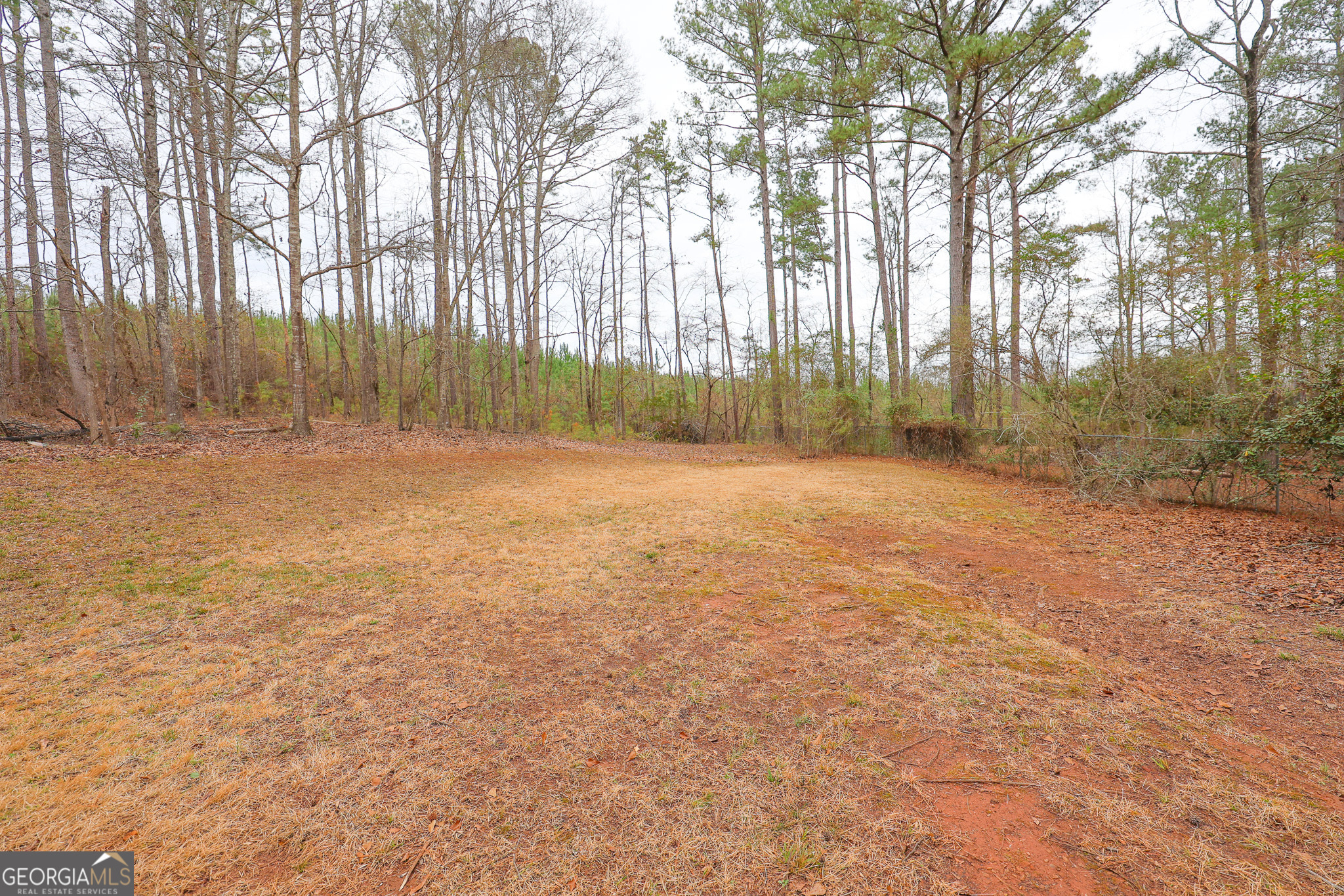 207 North View Pointe Drive LaGrange, GA 30241 - Photo 64 of 74 a view of a yard with trees in front of it