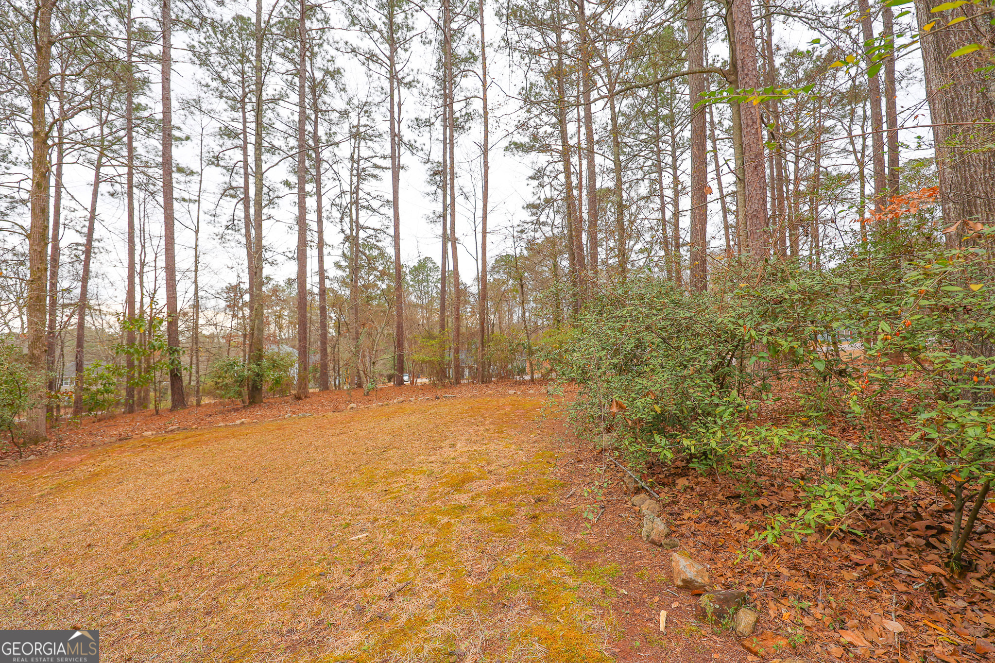 207 North View Pointe Drive LaGrange, GA 30241 - Photo 66 of 74