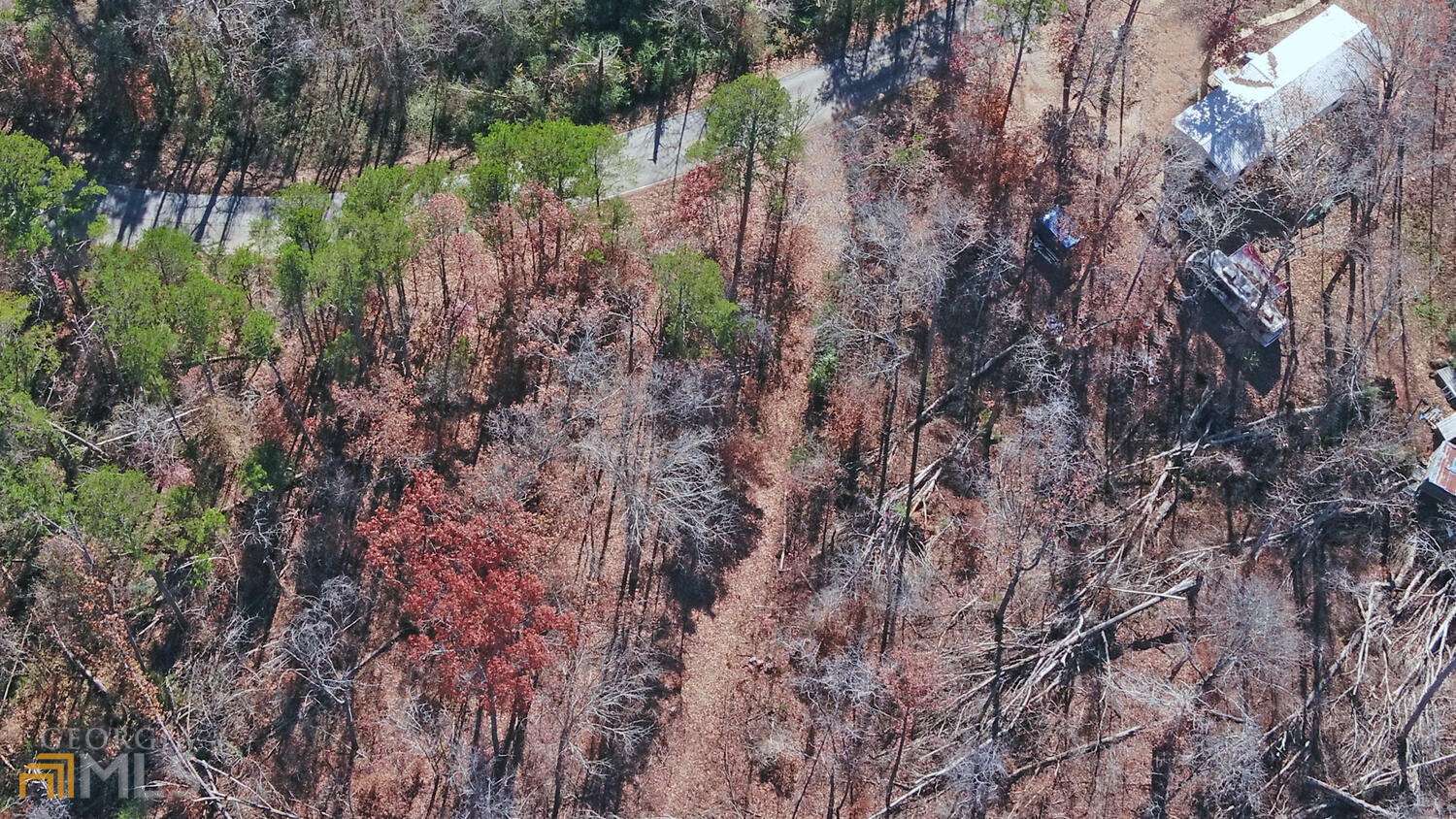 1361 Jenkins Ferry Road Martin, GA 30557 - Photo 1 of 1 a view of a plant in a garden