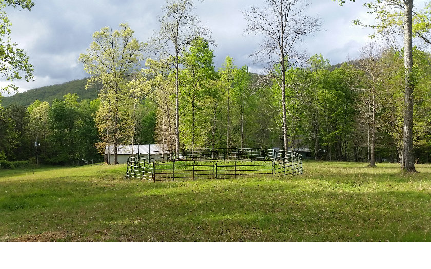17 Sawmill Road Blairsville, GA 30512 - Photo 1 of 1 Main View