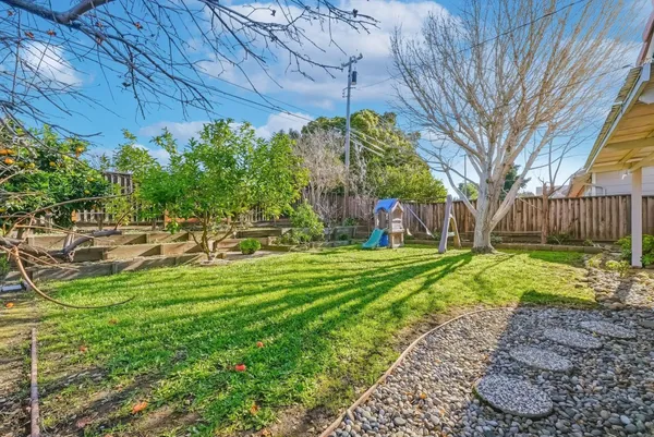 a view of a backyard with a tree