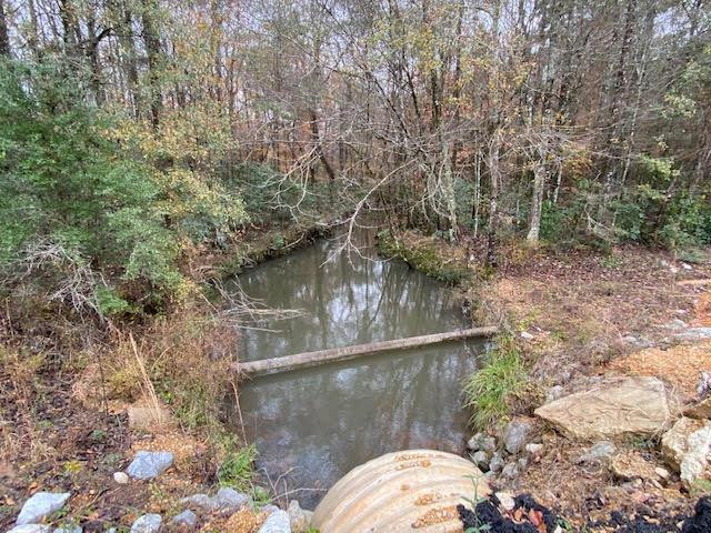 522 Hulon Brister Road Jayess, MS 39641 - Photo 54 of 55 Photo 54