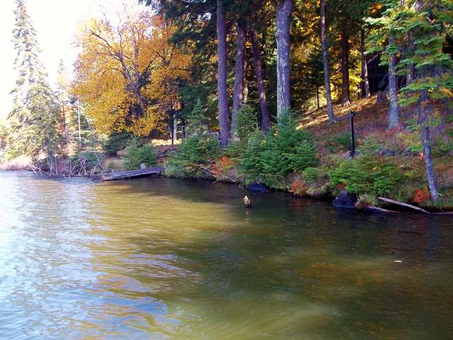 19180 Fish Hawk Lk Road Watersmeet, MI 49969 - Photo 13 of 20 Gallery Image 13