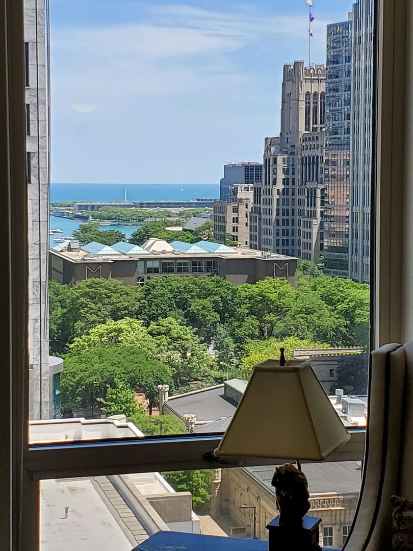 111 East Chestnut Street, Unit 14H Chicago, IL 60611 - Photo 15 of 15