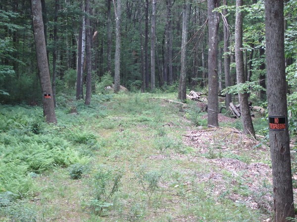 690.4 New Salem Road Petersham, MA 01366 - Photo 5 of 9
