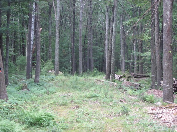 690.4 New Salem Road Petersham, MA 01366 - Photo 6 of 9