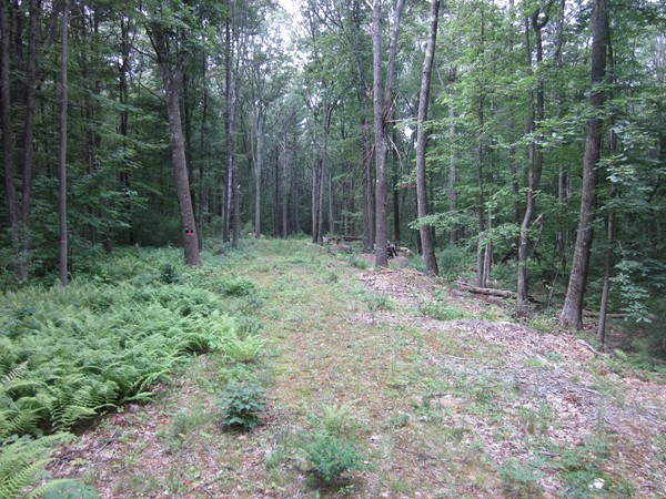 690.4 New Salem Road Petersham, MA 01366 - Photo 7 of 9
