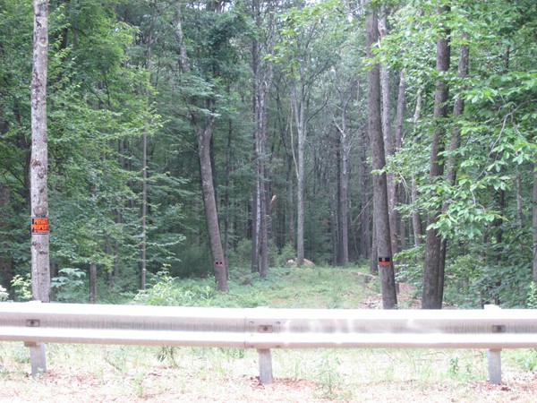 690.4 New Salem Road Petersham, MA 01366 - Photo 8 of 9