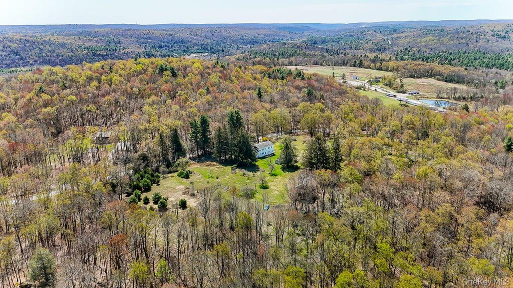 150 Ranch Hill Road South Fallsburg, NY 12779 - Photo 3 of 5