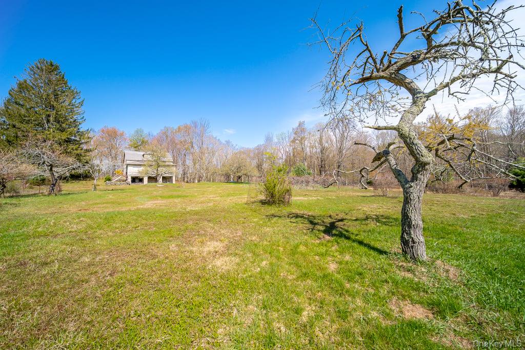 150 Ranch Hill Road South Fallsburg, NY 12779 - Photo 4 of 5