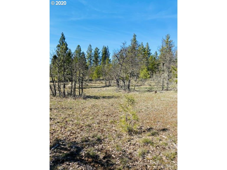 354 Deyoe Cutoff Road Goldendale, WA 98620 - Photo 14 of 22 Gallery Image 14