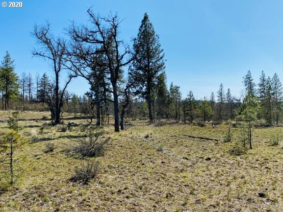 354 Deyoe Cutoff Road Goldendale, WA 98620 - Photo 4 of 22 Gallery Image 4