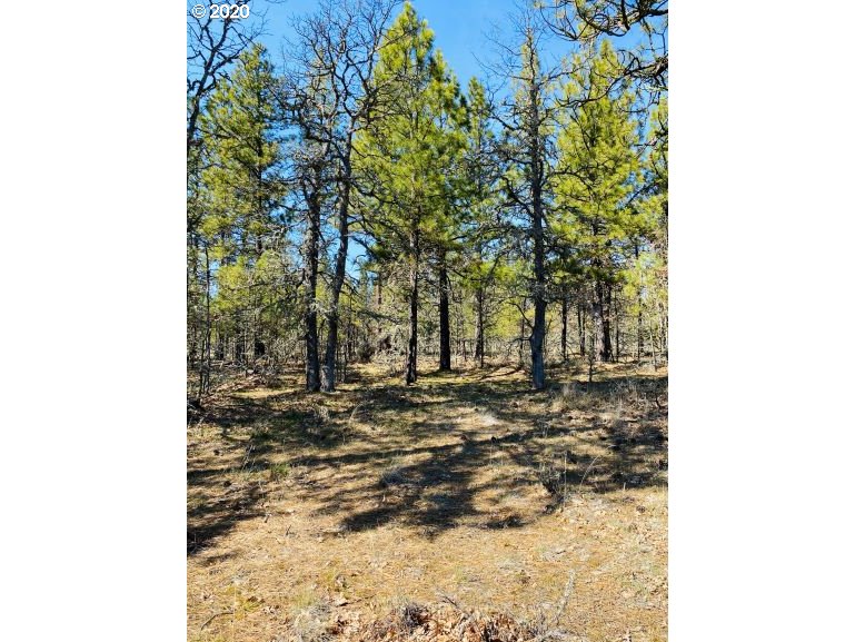 354 Deyoe Cutoff Road Goldendale, WA 98620 - Photo 5 of 22 Gallery Image 5