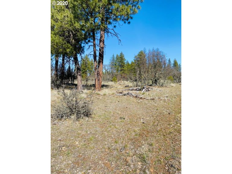 354 Deyoe Cutoff Road Goldendale, WA 98620 - Photo 8 of 22 Gallery Image 8