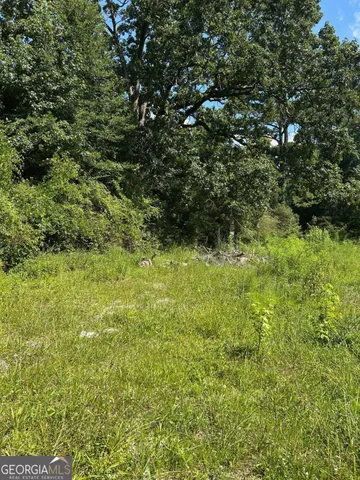 a view of a big yard with plants and large trees