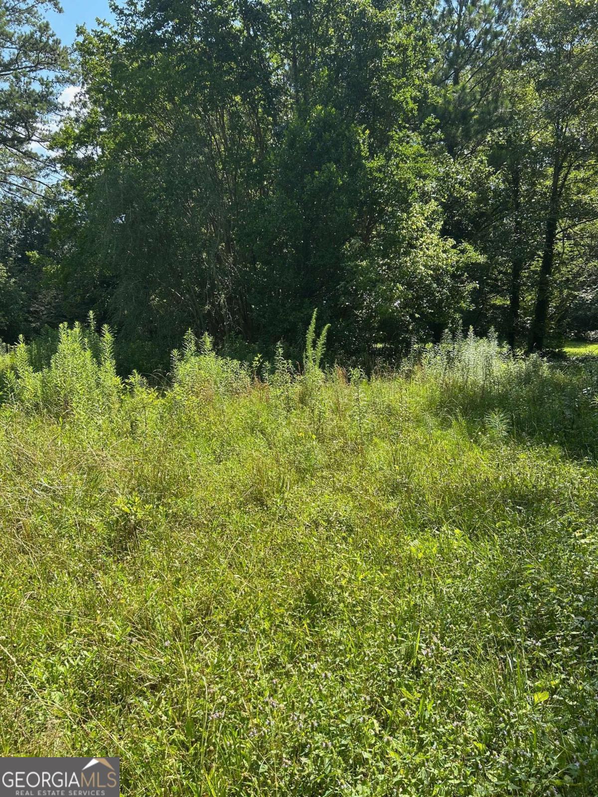 2370 Ebenezer Road Southeast Conyers, GA 30094 - Photo 3 of 5 a view of a yard