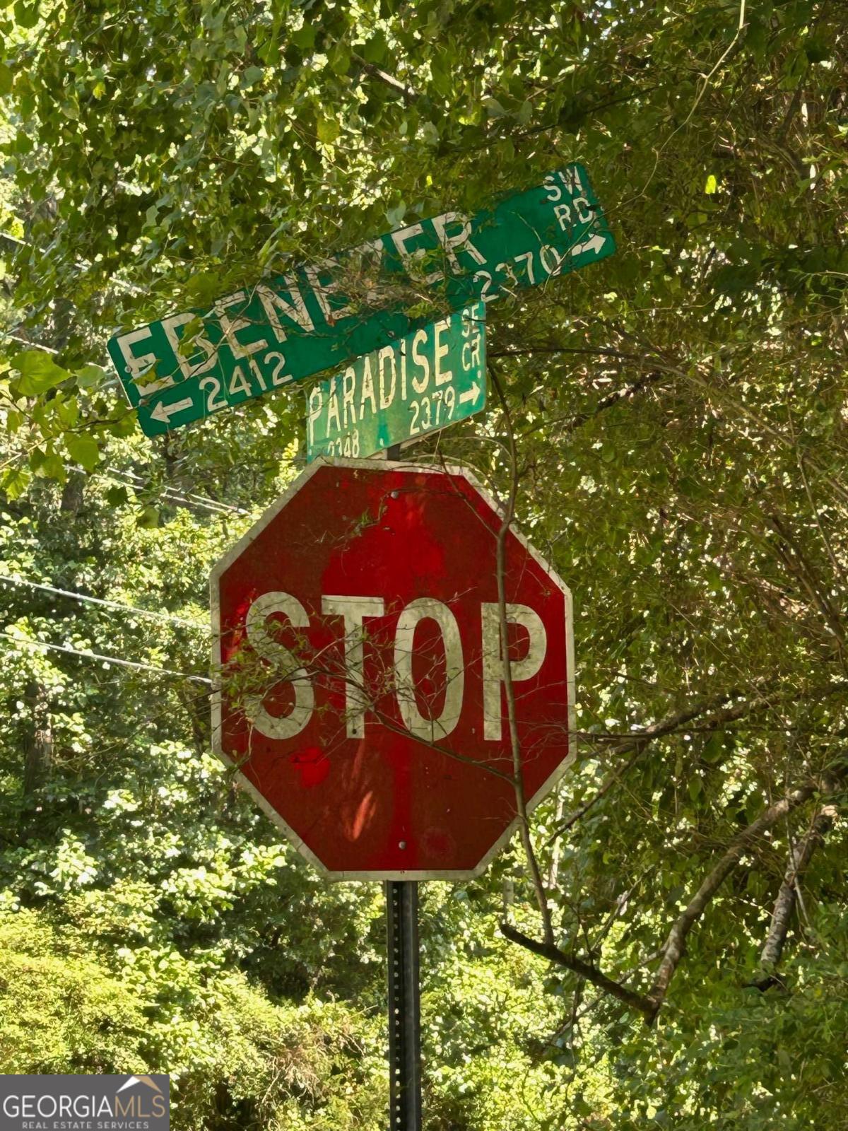 2370 Ebenezer Road Southeast Conyers, GA 30094 - Photo 5 of 5 a view of a tree in a yard
