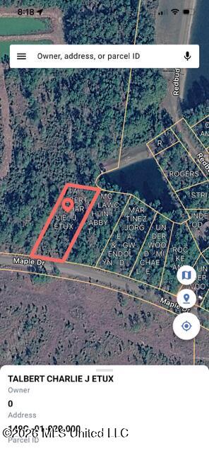 0 Maple Drive Perkinston, MS 39573 - Photo 8 of 8 IMG_7792