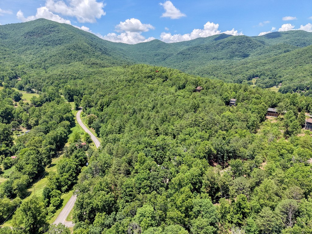 4777 Laurel Mountain Road Hiawassee, GA 30546 - Photo 4 of 34