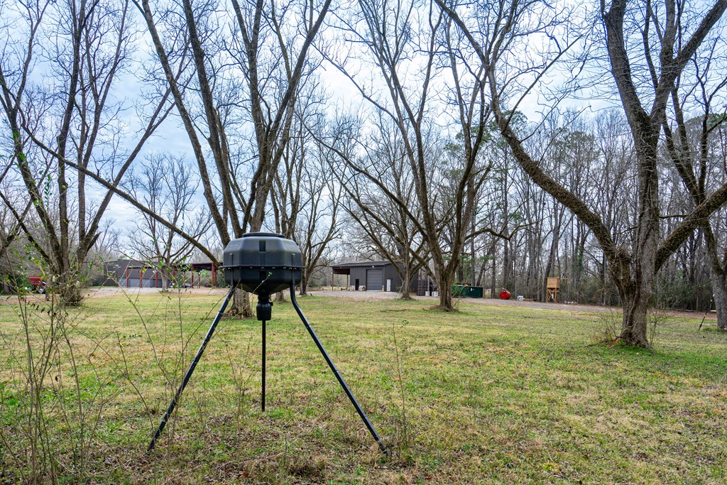 229 Trammel Road Pine Mountain, GA 31822 - Photo 28 of 86 Gallery Image 28