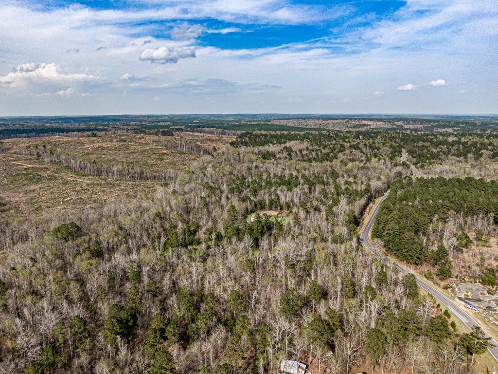 Lot 9 Old Copelan Road Eatonton, GA 31024 - Photo 6 of 23 Gallery Image 6