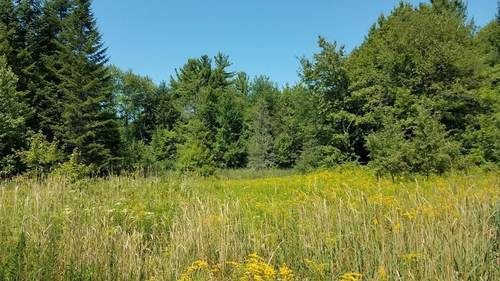 63 Gardner Road Hubbardston, MA 01452 - Photo 36 of 42 a view of a yard