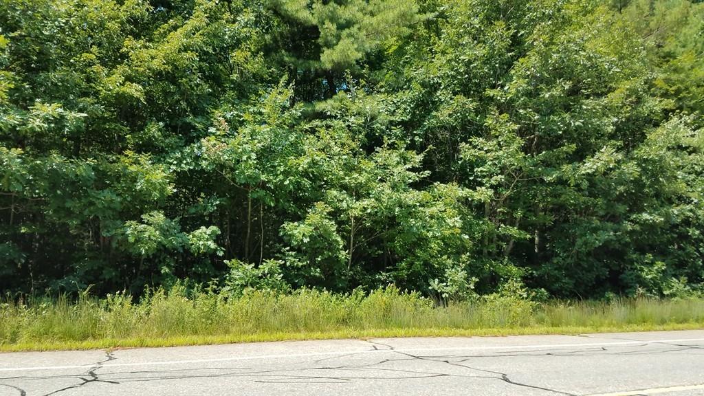 63 Gardner Road Hubbardston, MA 01452 - Photo 41 of 42 a view of a yard