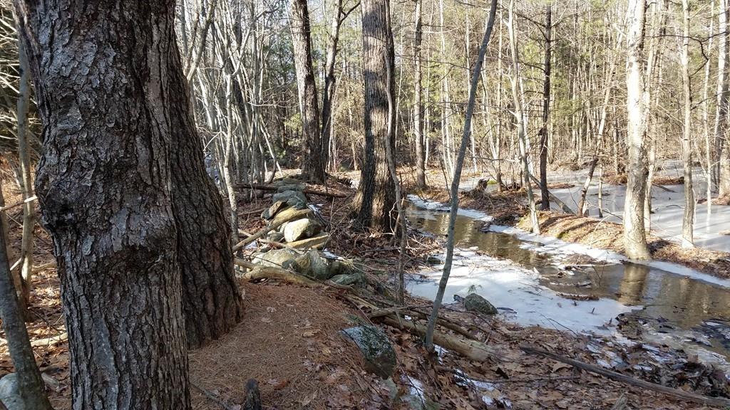 63 Gardner Road Hubbardston, MA 01452 - Photo 42 of 42 a view of outdoor space with lots of trees