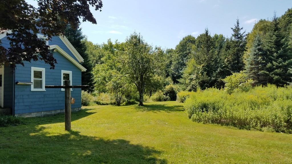 63 Gardner Road Hubbardston, MA 01452 - Photo 5 of 42 a view of a backyard with large trees