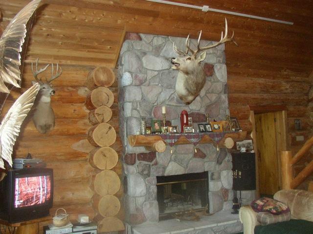 2450 Keyes Island International Falls, MN 56649 - Photo 8 of 24