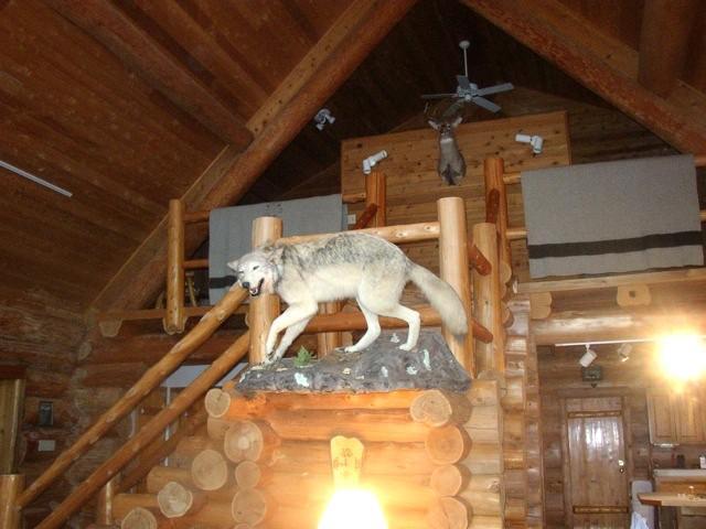 2450 Keyes Island International Falls, MN 56649 - Photo 9 of 24