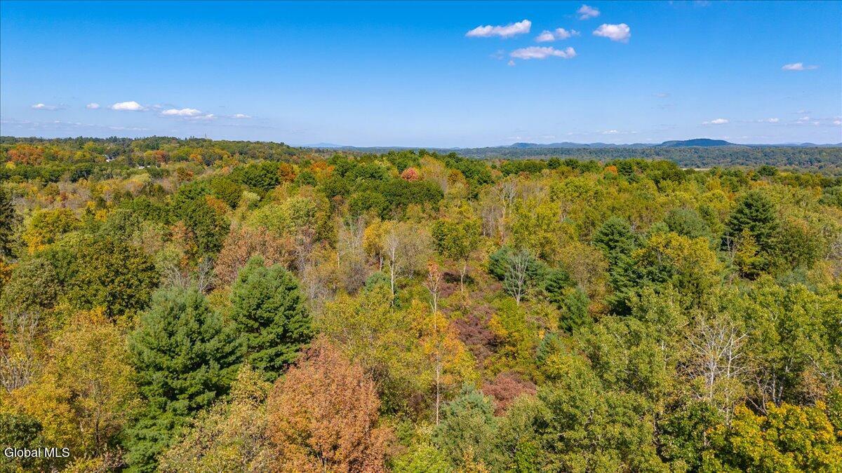 207 Haas Road Schuylerville, NY 12871 - Photo 22 of 24 24-209 haas rd schyulerville-24
