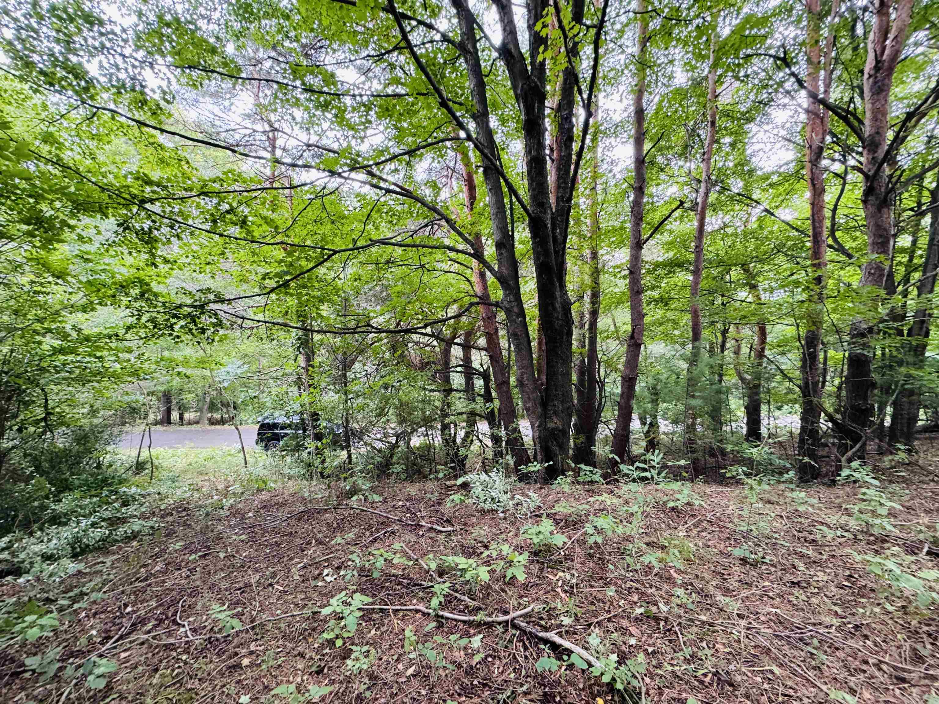 0 South Beaver Pond Road Empire, MI 49630 - Photo 3 of 11 Gallery Image 3
