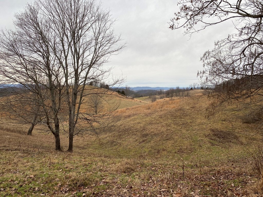 Tbd Widener Valley Road, Unit SEE REMARKS Glade Spring, VA 24340 - Photo 25 of 57 Gallery Image 25