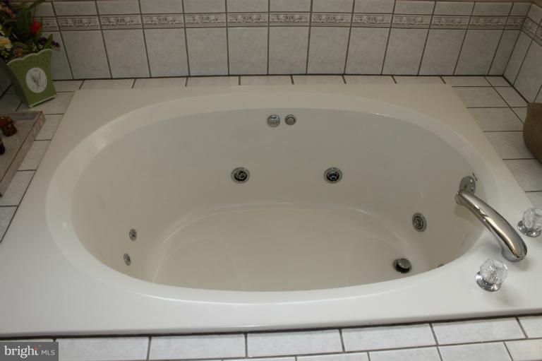 33 Bridle Path Way Rising Sun, MD 21911 - Photo 22 of 27 Jetted Soaking Tub in Master Bath