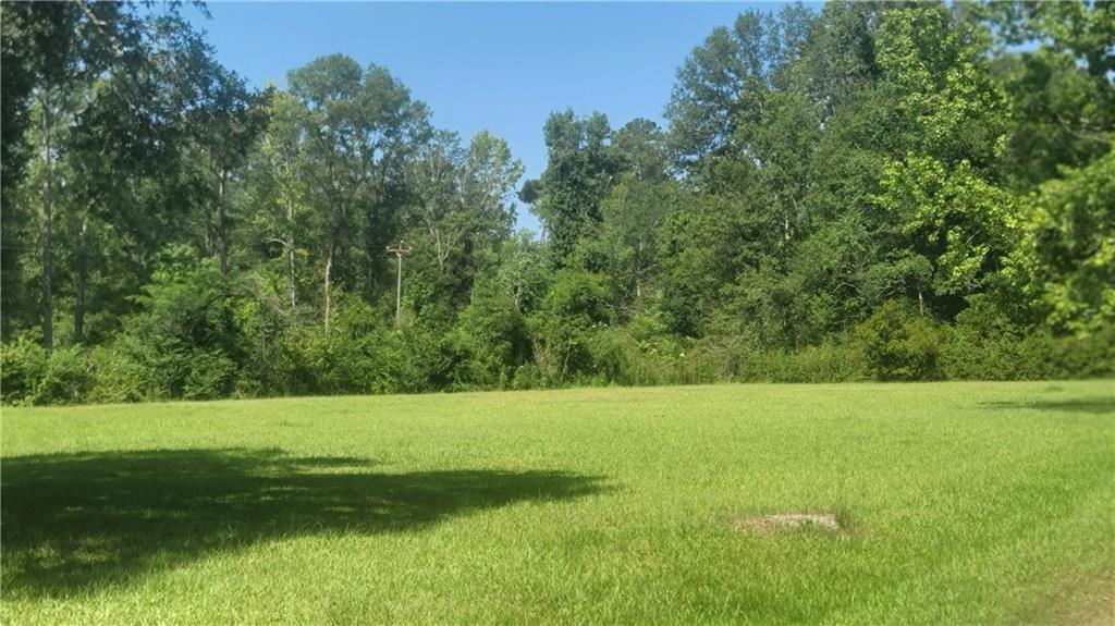 30665 North Cafe Line Road Tickfaw, LA 70466 - Photo 3 of 6