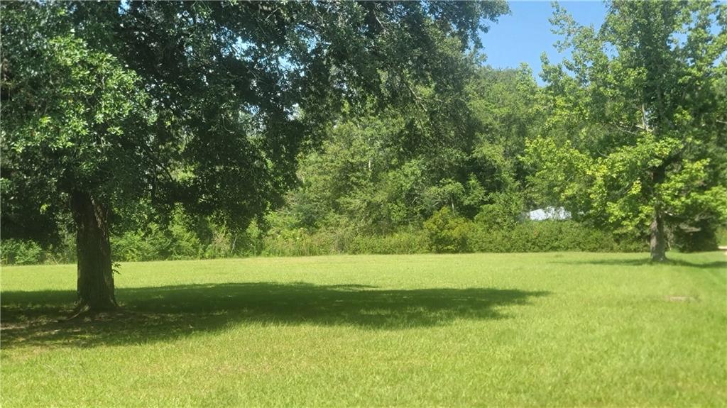 30665 North Cafe Line Road Tickfaw, LA 70466 - Photo 4 of 6