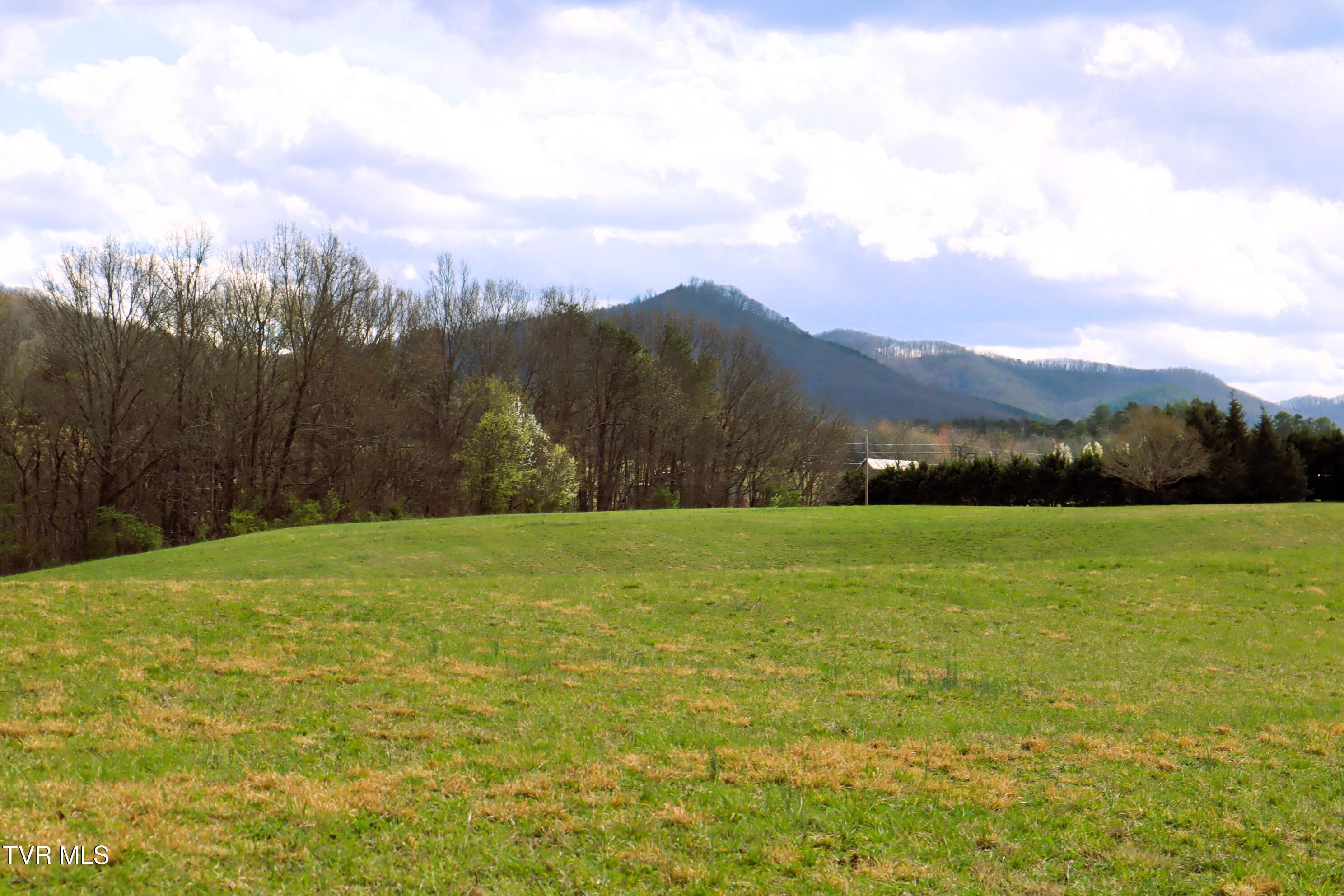 872 Doyle Davis Road Greeneville, TN 37743 - Photo 8 of 34 63