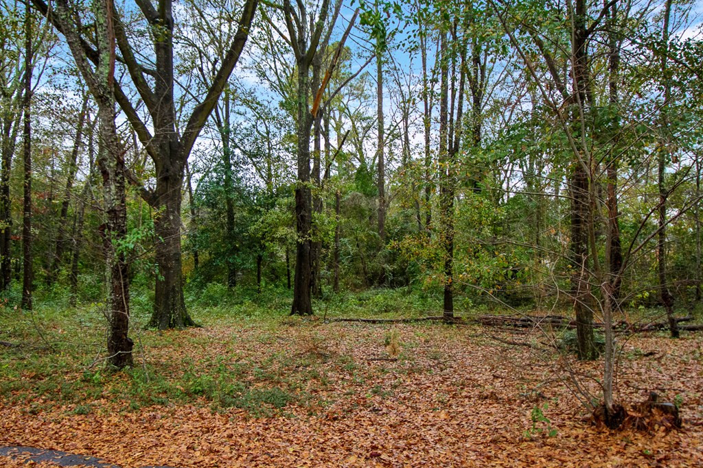 Lot 1 Longmeadow Road Rock Hill, SC 29730 - Photo 3 of 5 Gallery Image 3
